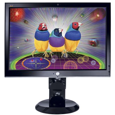 17" LCD monitor ViewSonic